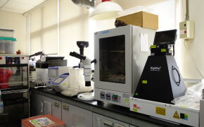 Molecular Ecology Laboratory