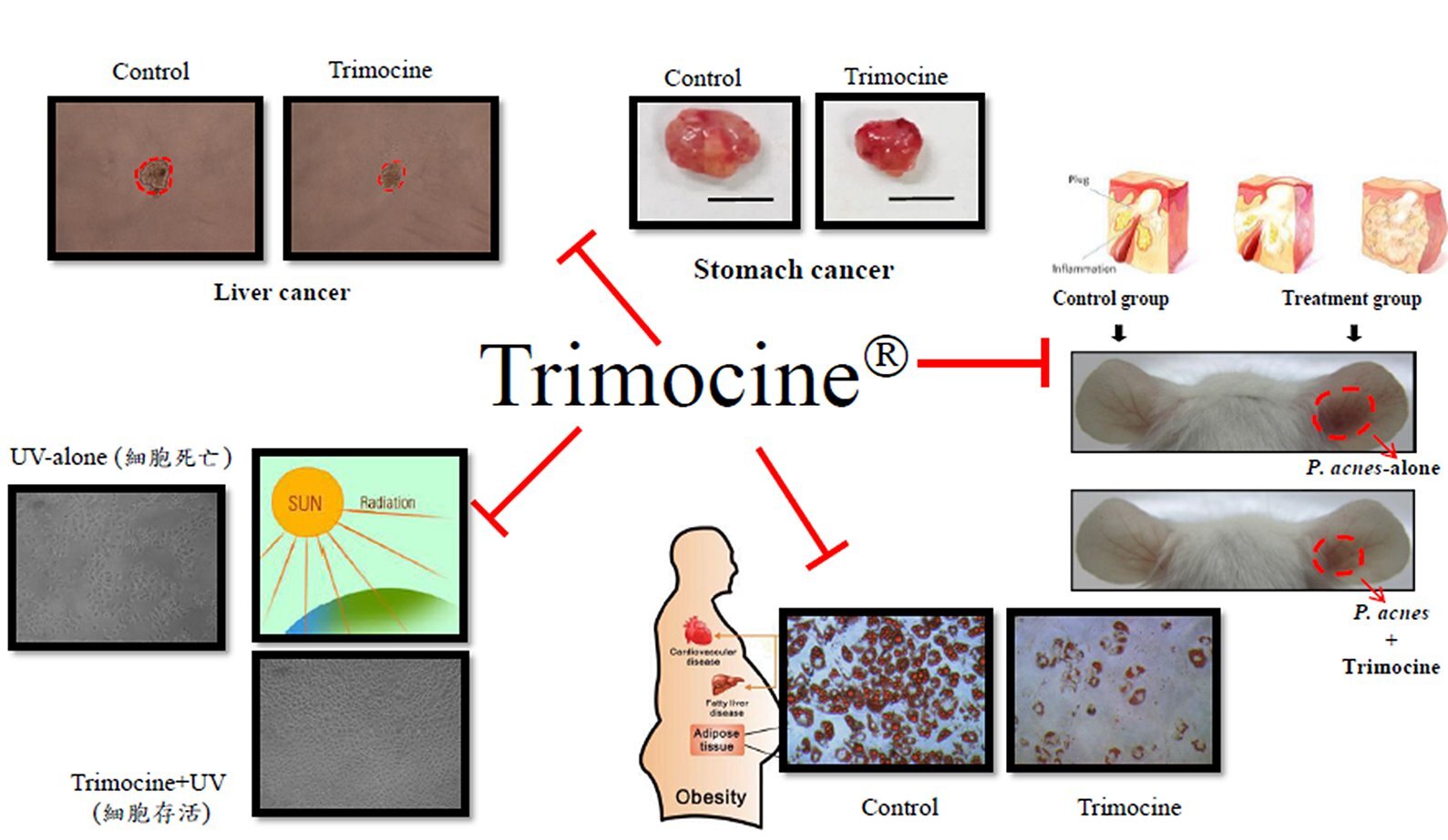 山苦瓜有效成分(TRIMOCINE)之功效分析與產品開發