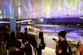 海洋科技博物館校外教學圖片