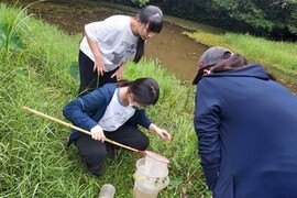 生態學實習-阿里磅生態農場校外教學圖片