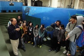 2015年海洋生物學與實習圖片