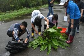 2019年8月14日至20日，本校理學院生命科學系與琉球大學理學部生物系進行第四年聯合授課的全英文暑期課程。今年課程由本校生命科學系廖啟政教授與陳怡惠副教授負責授課及主辦所有課程事宜，野外課程與成果發表地點為位在台中市烏石坑的特有生物研究中心低海拔試驗站。這個課程的設計為台灣與日本學生混合編組，針對特定實驗主題先進行背景知識教學，接著以小組的型式在野外進行實地觀察與資料收集，最後則進行資料分析、科學繪圖及口頭報告，全程以英語進行。